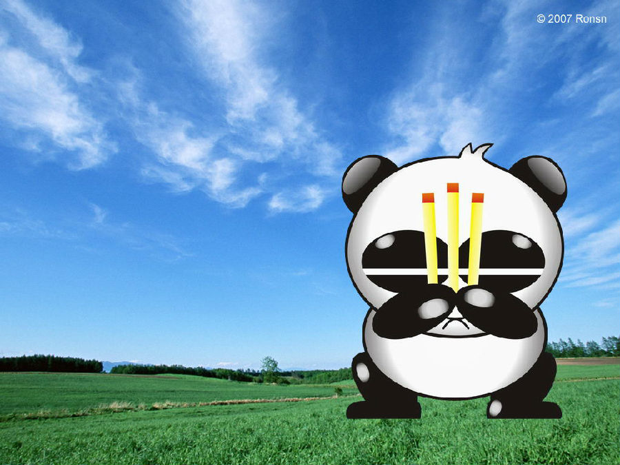 黑客二三事:熊猫烧香其实不入流_网络媒体其他_艾瑞网