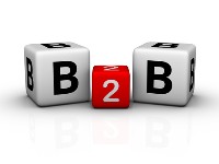 2015��B2BͶ����ô�棿