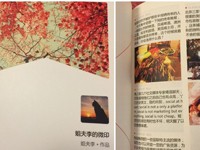 ���⼸��ϸ�����֣����Ӫ��Ҳ���Ժ��д���