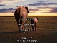 ���д�д���е��İ��������ľ����ˣ��������ҵ�������