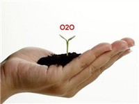 O2O���̫�����뱣����12���������˼��
