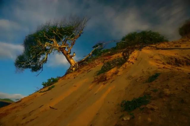 3l8nwgyhbkgq72v0.jpg