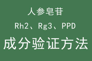 ???��???o???o???��???????????��???????????��???????��rh2-rg3.jpg