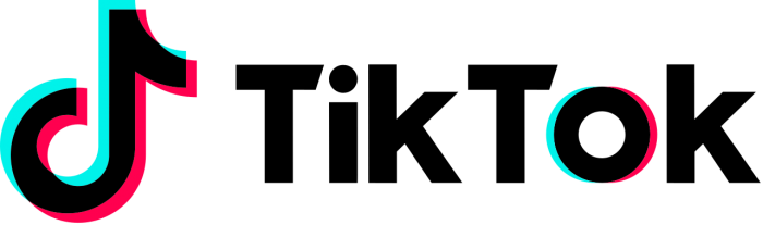 韩国将对TikTok展开安全调查 称其可能跟中国共享用户信息