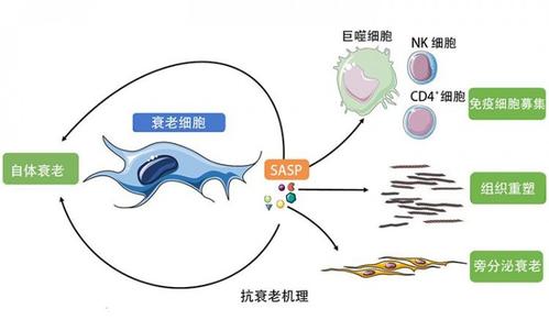 如图片无法显示,请刷新页面