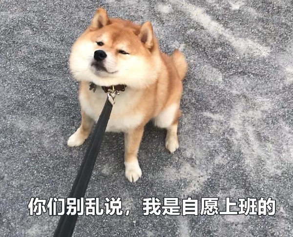 年轻人为什么喜欢线上办公?丰富的物质与难掩的焦虑