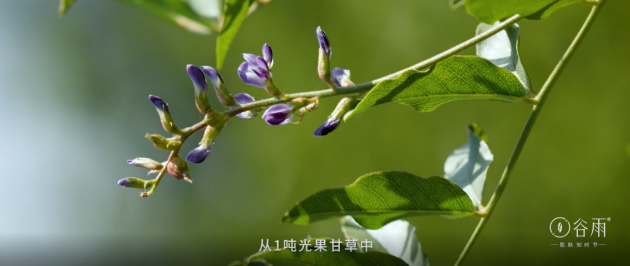谷雨的护肤品好用吗