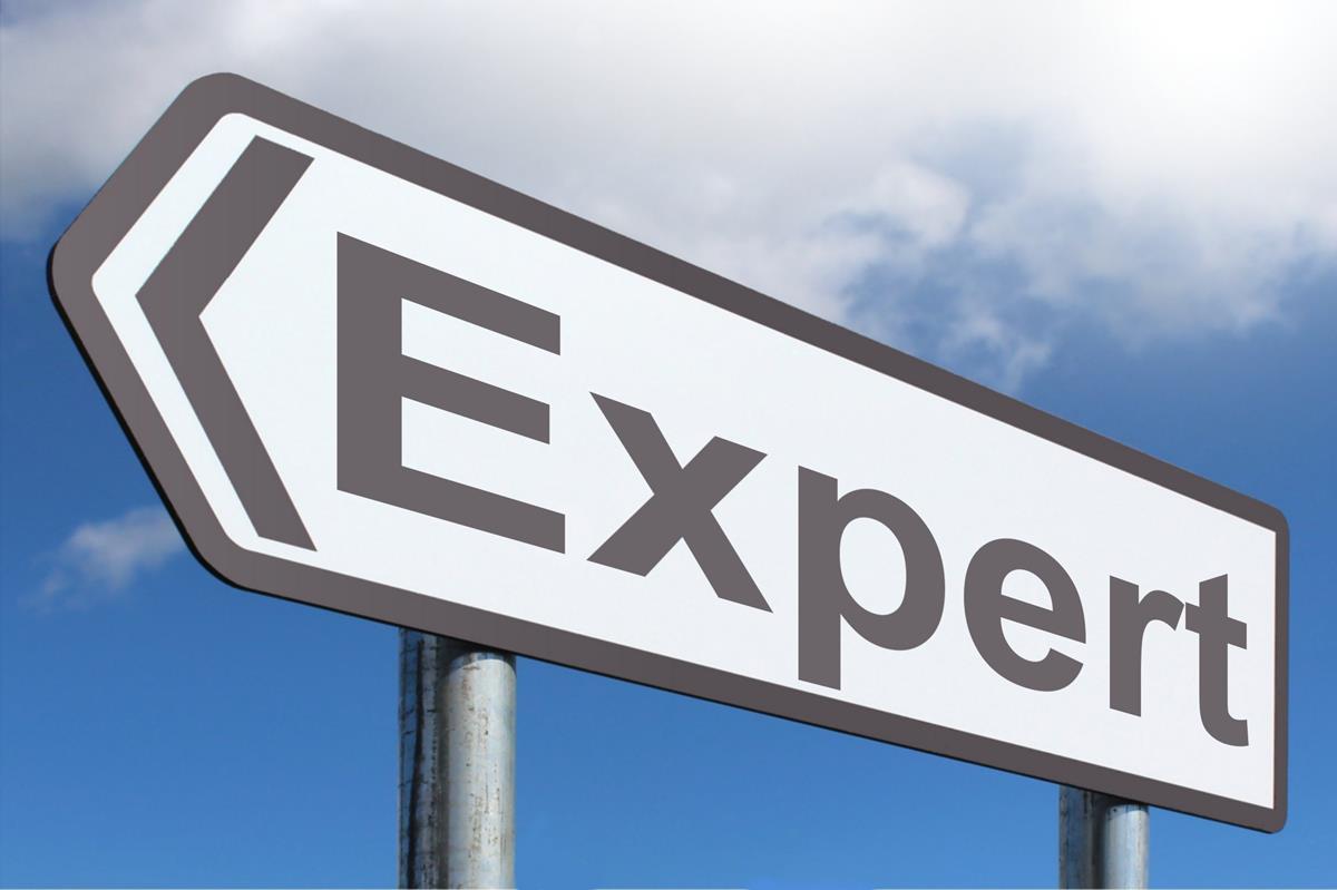 What to expect when you're expected to be an expert | Pubs and Publications