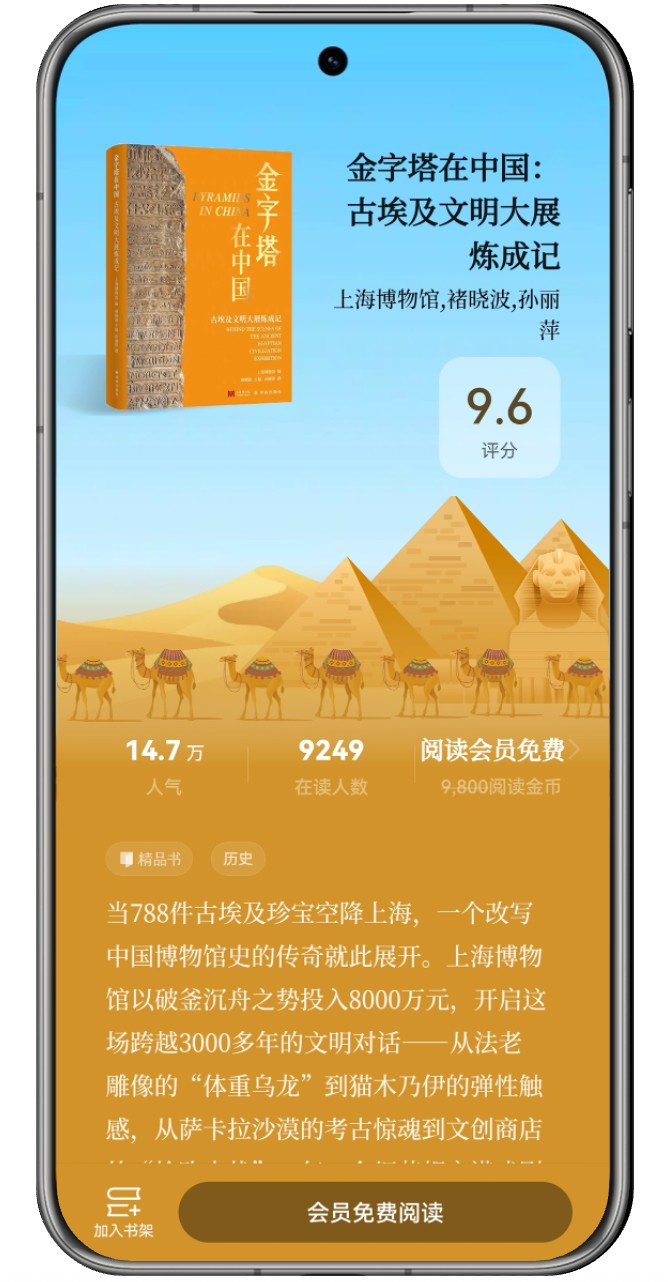 金字塔在中国-含机框图.jpg 金字塔在中国-含机框图.jpg
