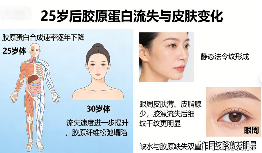 https://img2.danews.cc/upload/ajax/20260320/ada4b74e56808adb7cf66fd80da6ae7a.png