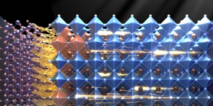 QQ20260401-094626.jpg