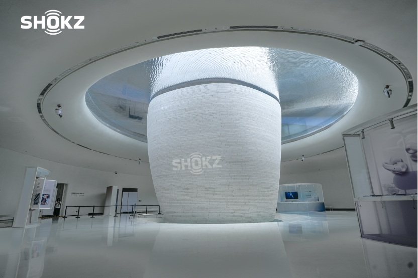 2026 Shokz DayԲ���չ٣������ԡ����Ҷ���������ȫ������̬��