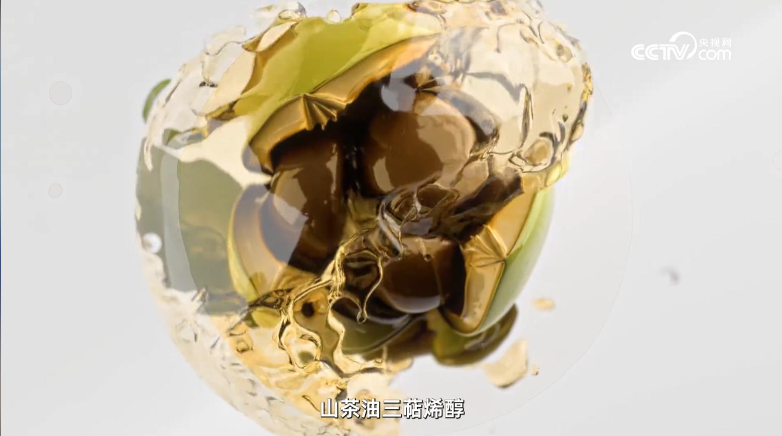从珠峰极境到实验室:央视镜头背后,解码天鑫研究院的山茶油科研力量