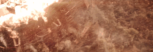 26.gif