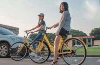 ofo������ʧ�󣺵������ɷ���������Ѻ��Ҫ60��