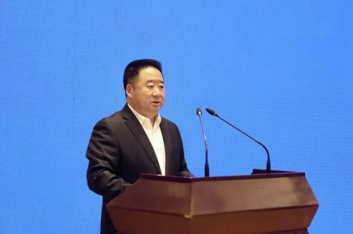 成都市委副书记谢瑞武,成都市委常委,成都东部新区党工委书记张瑛