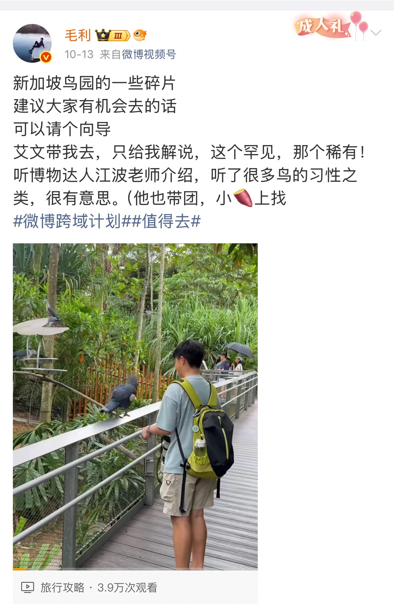 11.jpg 11.jpg