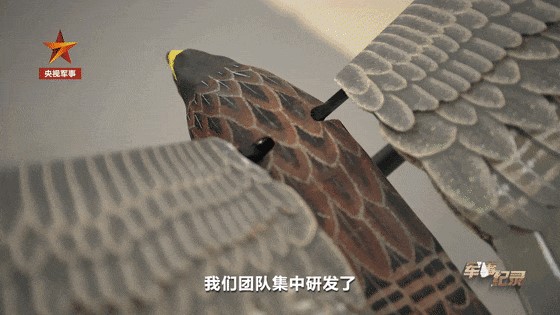�������˻�1.jpg